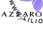 فروشگاه عطر ادکلن لیلیوم