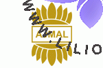 فروشگاه عطر ادکلن لیلیوم
