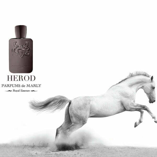 فروشگاه عطر ادکلن لیلیوم