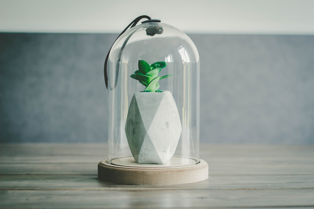 فروشگاه عطر ادکلن لیلیوم