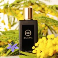 عطر ادکلن اینکارنا پارفومز ورت اینسایت-Incarna parfums Vert insight