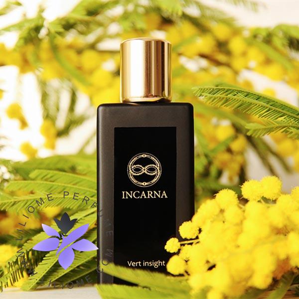 عطر ادکلن اینکارنا پارفومز ورت اینسایت-Incarna parfums Vert insight