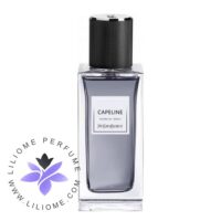 عطر ادکلن ایو سن لورن کیپ لاین | YSL Capeline