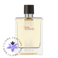 عطر ادکلن هرمس تق هرمس فلاکون اچ 2021 ادوتویلت | Hermes Terre d'Hermes Flacon H 2021 EDT