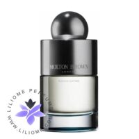 عطر ادکلن مولتون براون راشن لدر | Molton Brown Russian Leather