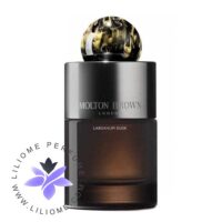 عطر ادکلن مولتون براون لابدانیوم داسک ادوپرفیوم | Molton Brown Labdanum Dusk EDP