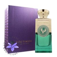 عطر ادکلن الکتیموس پرسفونز پچولی | Electimuss Persephone's Patchouli