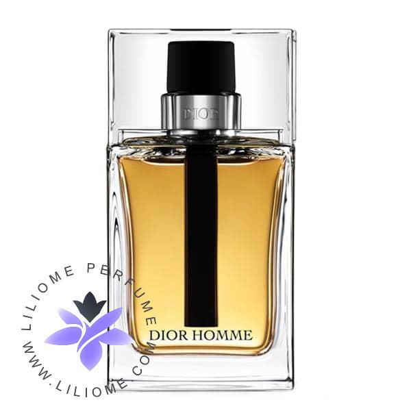 Dior Homme EDT 1 1 | عطر و ادکلن لیلیوم