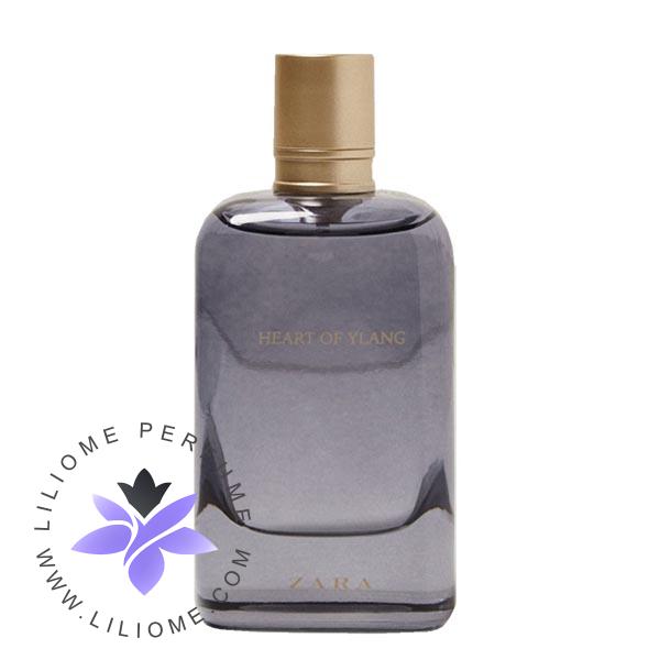 فروشگاه عطر ادکلن لیلیوم