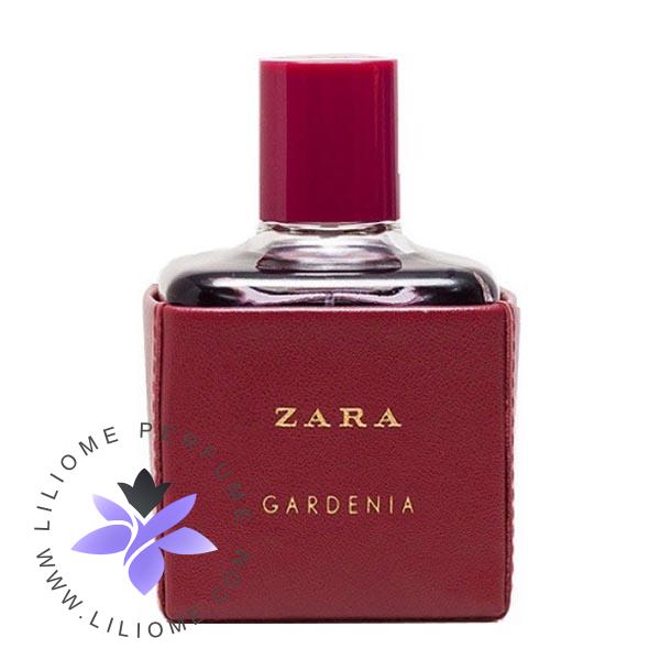 فروشگاه عطر ادکلن لیلیوم