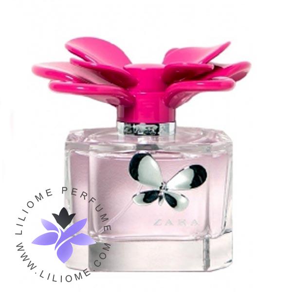 فروشگاه عطر ادکلن لیلیوم