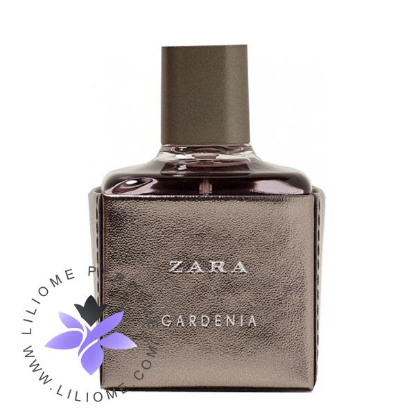 فروشگاه عطر ادکلن لیلیوم