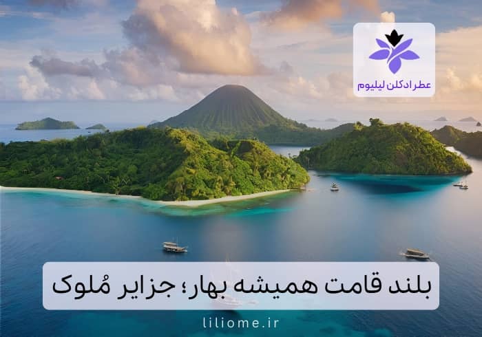 فروشگاه عطر ادکلن لیلیوم