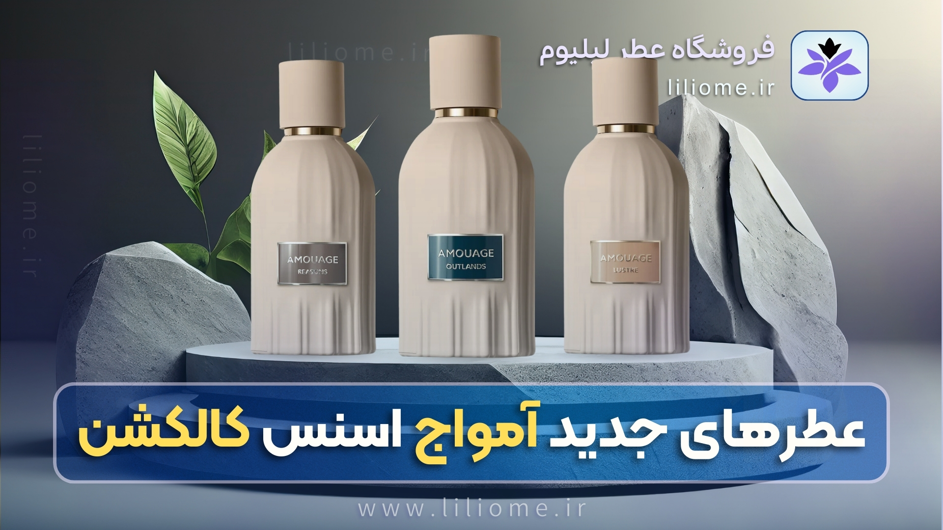 معرفی عطرهای ریزنز، لاستر و اوتلندز از اسنس کالکشن برند آمواج