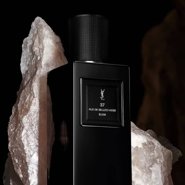 YSL 37 Rue de Bellechasse Elemi