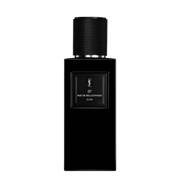 YSL 37 Rue de Bellechasse Elemi