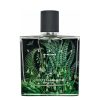 عطر ادکلن نست ورده | Nest Verde